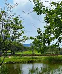 廈門大埕公園，治癒系打卡