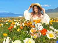 跌入金色夢境，收藏盛夏嘅溫柔絮語