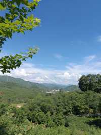 🌳住進童話中的樹屋 | 森吧客莊園獨棟樹屋·花間舍
