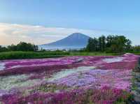 一秒墜入童話世界，去睇漫山遍野嘅粉色地毯