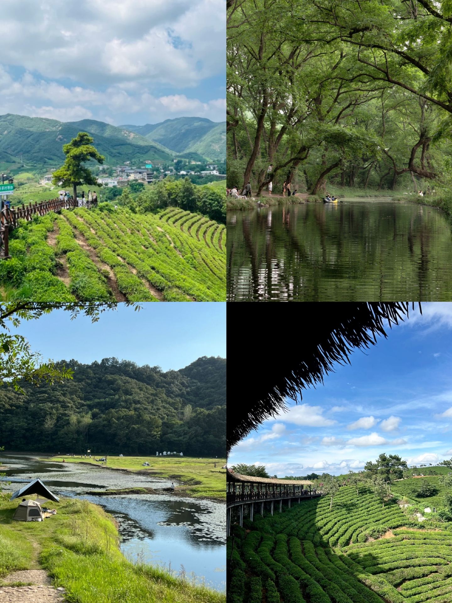 Don't stress about where to go, Xinyang is truly amazing