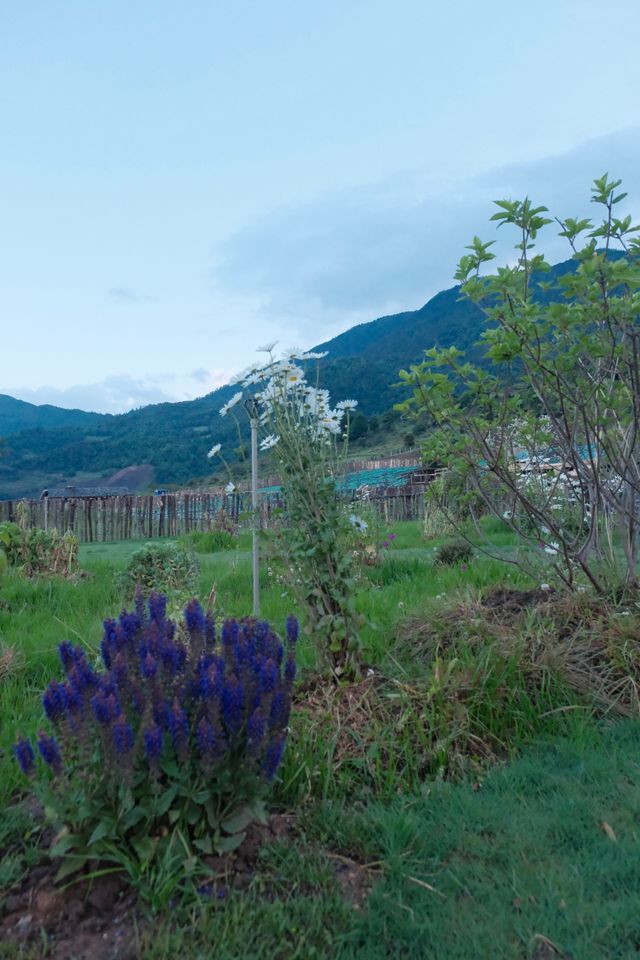 文海雪山野奢秘境｜玉龍雪山腹地隱世天堂