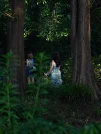 杭州發現一間寶藏民宿｜藏住風景同畫