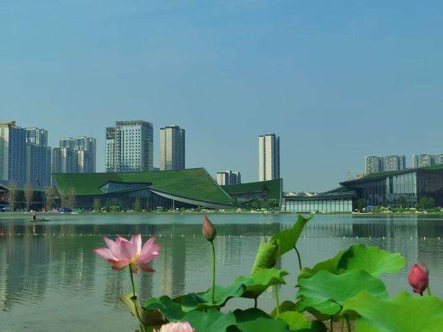 「喺金牛，每寸綠意都生長住故事嘅切面」