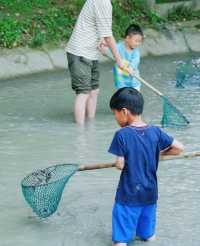 江浙滬親子遊王炸組合！一站式遛娃爽到飛起
