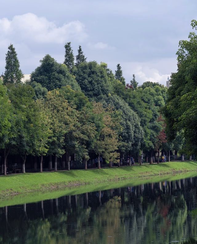 昆明｜採蓮河晨跑·宮崎駿夏天