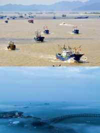 家人們！枸杞島嘅夏天係涼浸浸㗎！