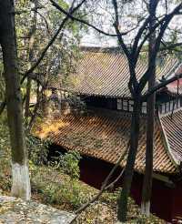 不愧係有600幾年歷史嘅昆明古寺，真係不枉此行