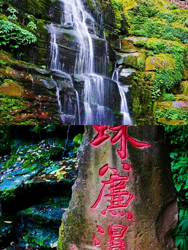 寶貝們快入！超正碧峰峽旅遊攻略嚟啦