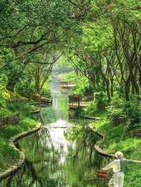 喺北京一個唔小心跌入初夏嘅綠野仙蹤