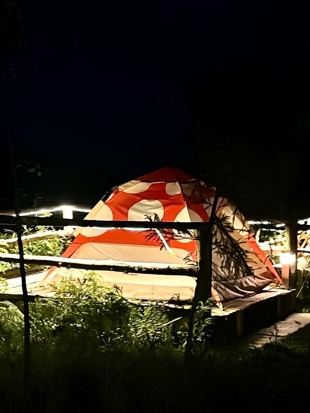 瀘州周邊遊2h｜現實版暮光森林