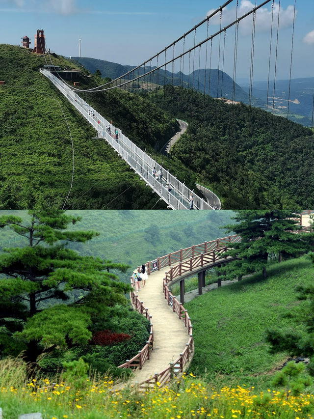 《宜昌百里荒：雲上草原的浪漫與野趣》