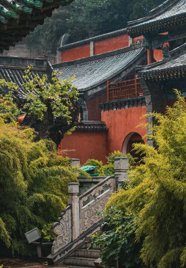 玄中寺：淨土祖庭的千年回響