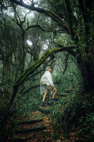 계림에 오면 양삭만 가지 말고, 소수의 매력적인 고양이산이 진짜 보물이에요