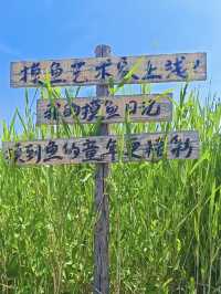 海岸幻樂——曹妃甸多瑪樂園
