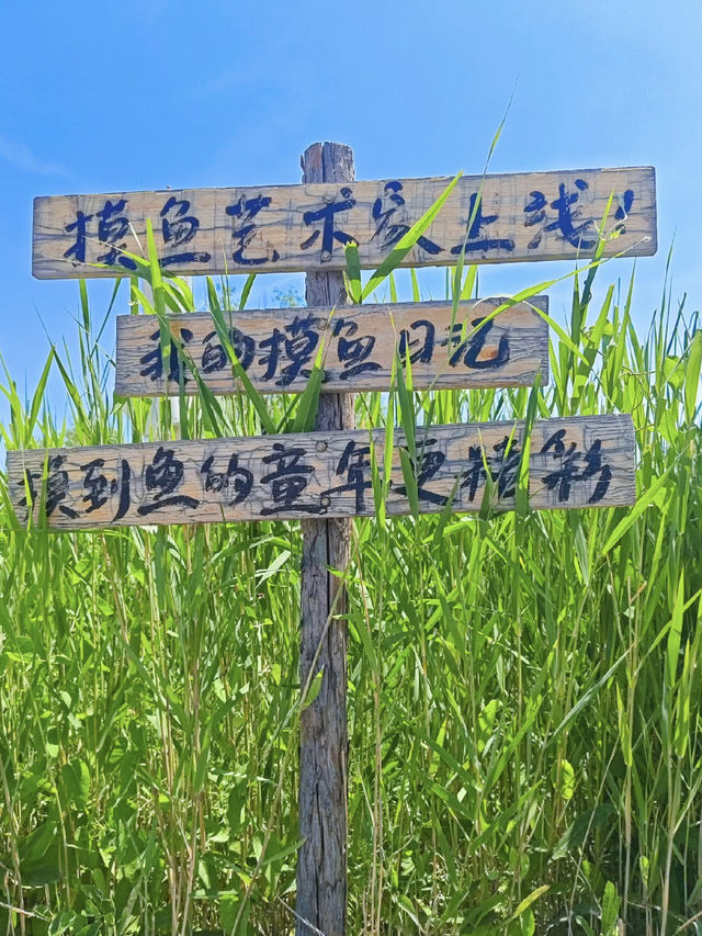 海岸幻樂——曹妃甸多瑪樂園