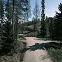 🌲 Forest Walks in Helsinki: Nature at the City’s Doorstep