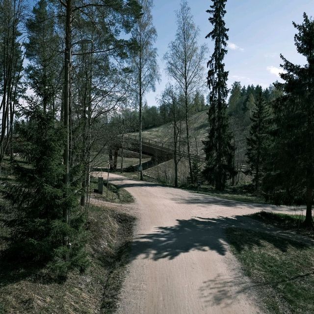 🌲 Forest Walks in Helsinki: Nature at the City’s Doorstep