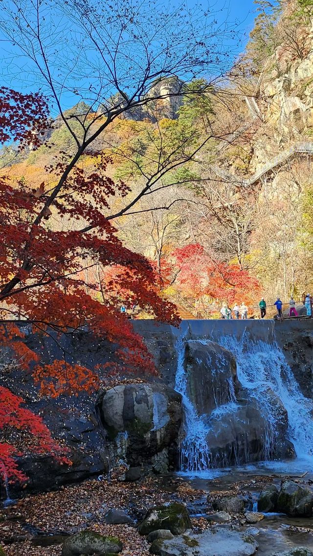 遼寧私藏的賞楓寶地！響水寺原始秋色驚豔整個十月