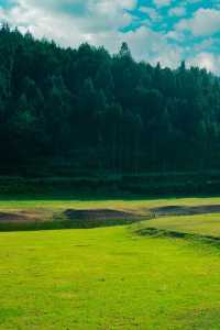 滇東秘境!曲靖深秋隱藏玩法上線,山水文化一鍵全含!