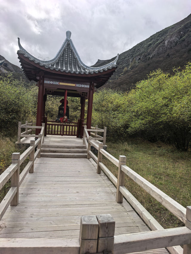 探秘黃龍：人間瑤池的奇幻之旅