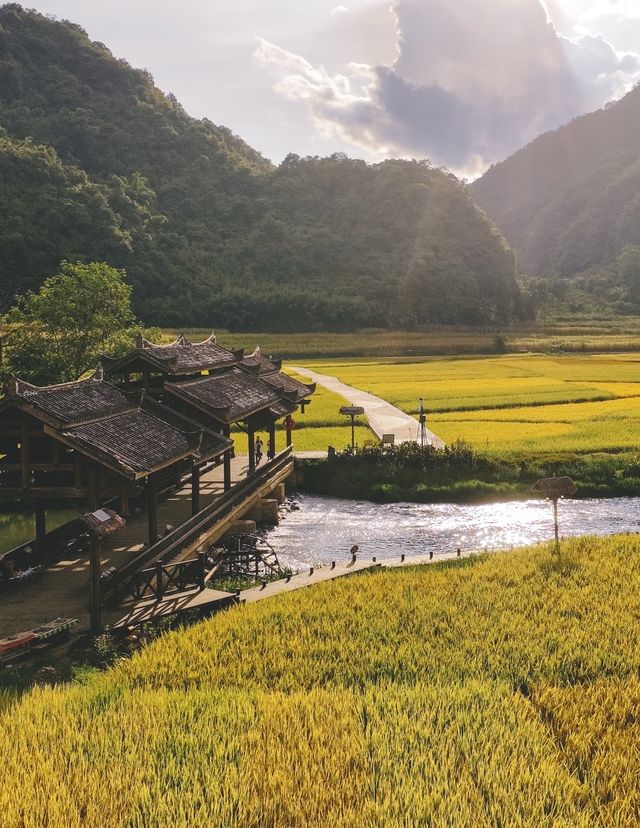雲霧仙境徒步指南