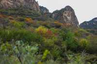 石家莊可以摘蘋果，免費賞紅葉的野山