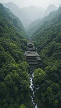 崇州青城山 | 道法自然的隱世之旅