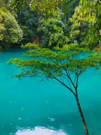 荔波小七孔｜把季節藏進碧綠詩行裡