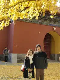 跟風成功！北京賞秋打卡地詳細路線