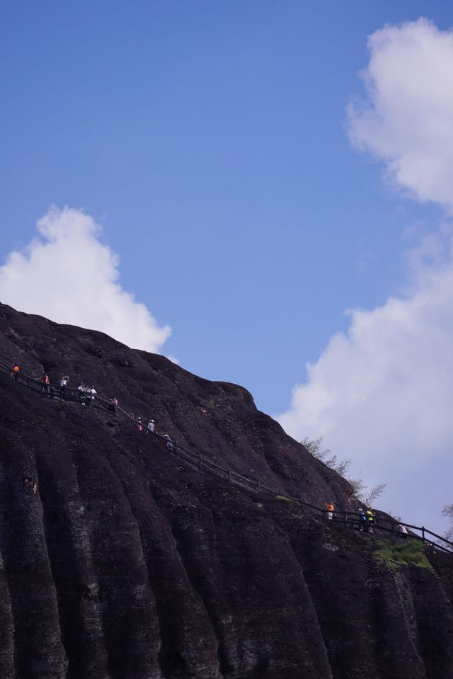朋友們，別總問我為什麼年年都要去武夷山。