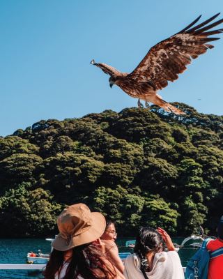 ทัวร์บ้านเรืออิเนะ: ให้อาหารนกนางนวลและสัมผัสประสบการณ์เวนิสบนท้องทะเล