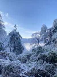 冰雪廬山!霧淞雲海仙境小眾機位全揭秘