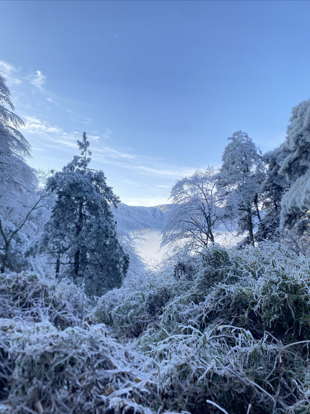 冰雪廬山!霧淞雲海仙境小眾機位全揭秘 冰雪廬山!霧淞雲海仙境小眾機位全揭秘