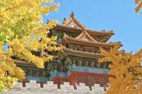 秋染中山:在皇家園林裡拾一片光陰