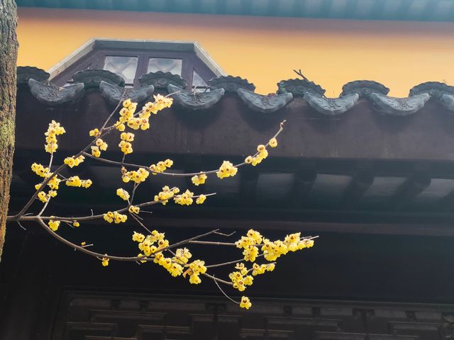 蘇州寒山寺深度攻略｜秋冬美到哭！聽鐘尋詩+出片全攻略