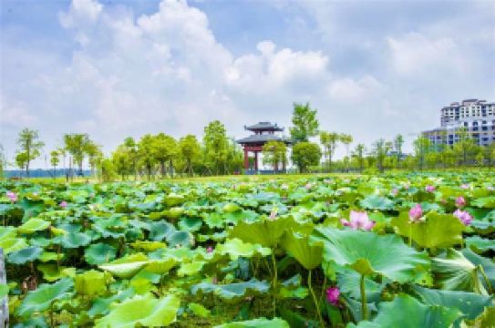 คู่มือท่องเที่ยวเขตเจียงหลิง