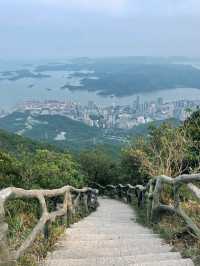 梧桐山最陡路線腿軟警告