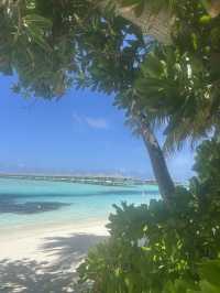 Amazing Resort Experience