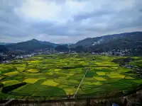 貴陽周邊｜這怎麼不算春天的油畫