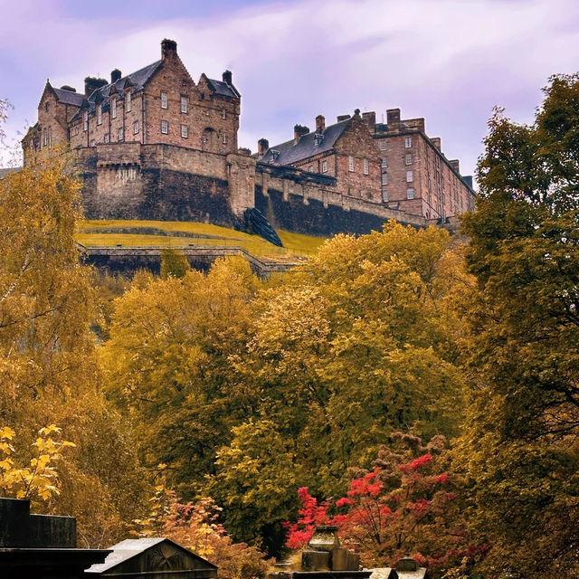 🍂에든버러 가을，일곱 번째 맞이하는 계절의詩