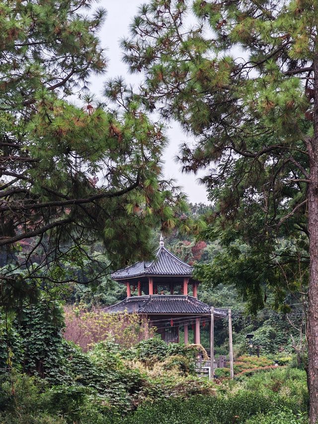 黃家山景，幽靜之中的自然詩篇。