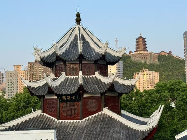 청옌고진 & 예랑곡 여행 가이드: 구이저우의 시간과 예술을 걷다