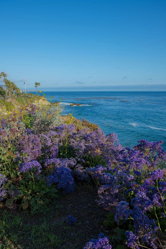 農曆新年外遊打卡美國經典一號公路