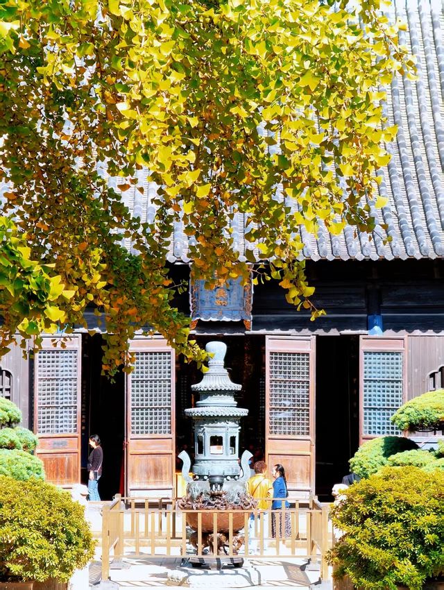 真如寺的銀杏還要等等,美味齋飯卻不用等 真如寺的銀杏還要等等,美味齋飯卻不用等