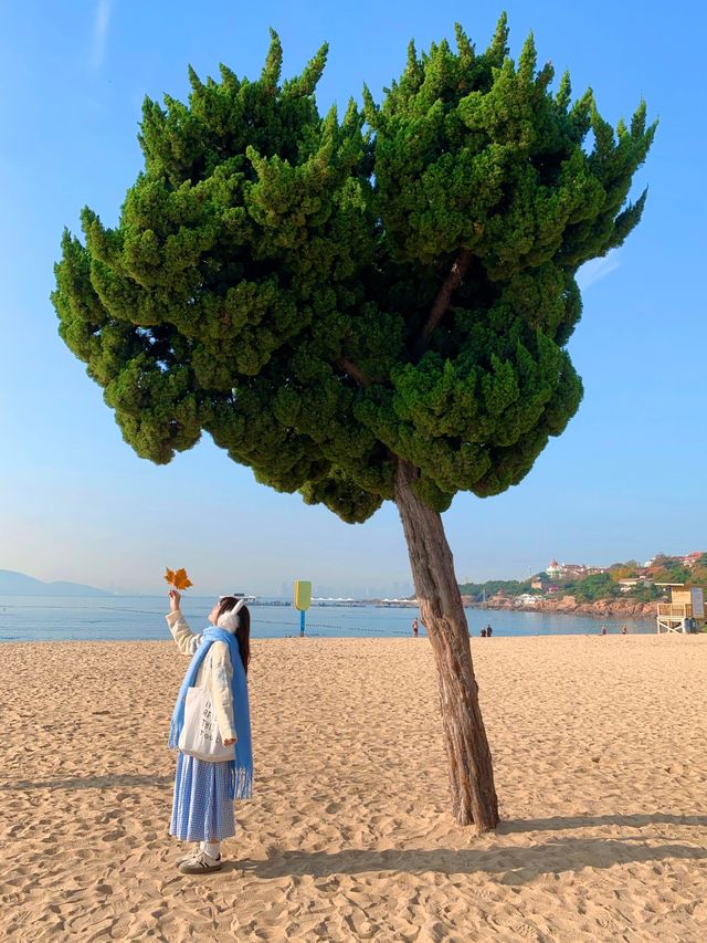 Live實況來青島拍到了18張人生照片！！