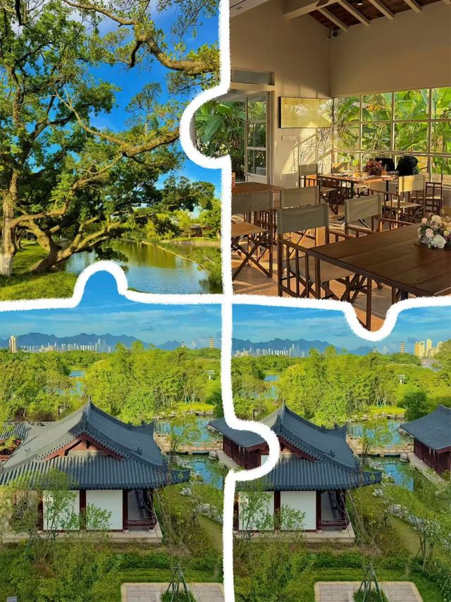 綠意盎然的相思林與礁石奇景