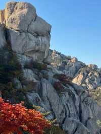 崂山仰口漫遊：一半山海，滿程秋光