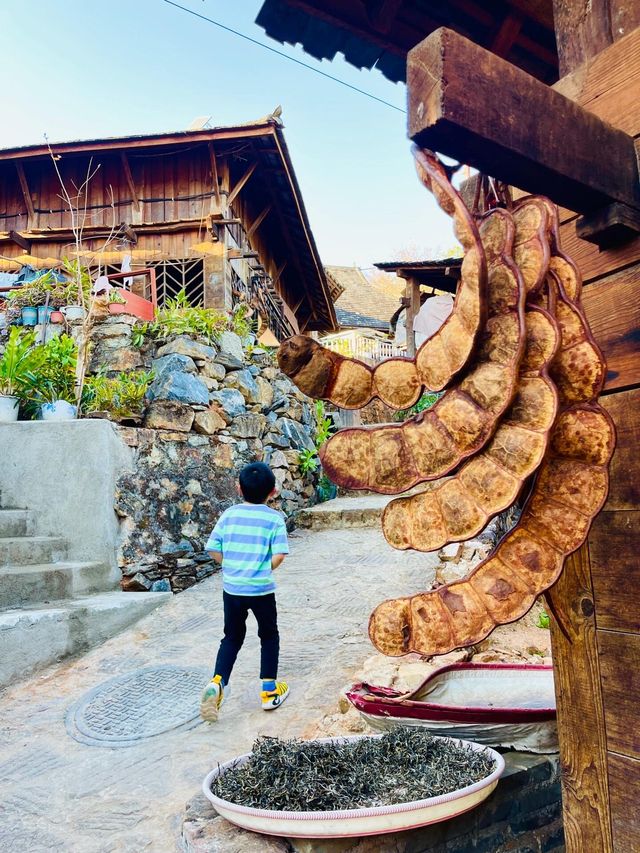世遺翁基古寨~在景邁山千年布朗古寨,賞夕陽晚霞 世遺翁基古寨~在景邁山千年布朗古寨,賞夕陽晚霞
