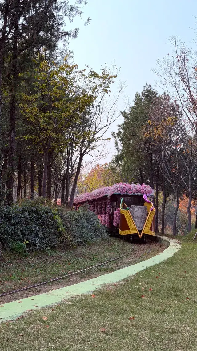 徐州賞秋馬陵山｜逃出戶外 和秋天見面